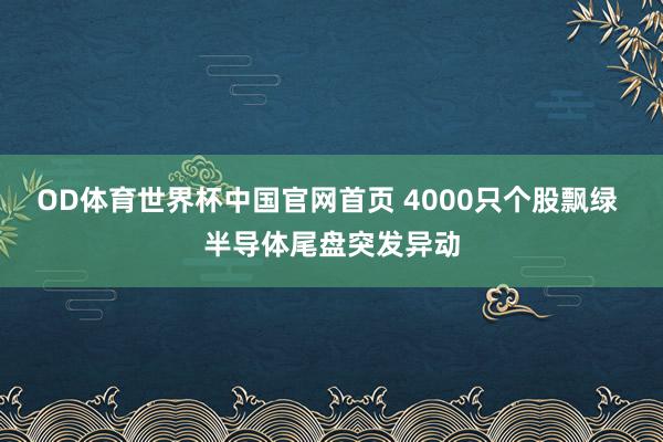OD体育世界杯中国官网首页 4000只个股飘绿 半导体尾盘突发异动