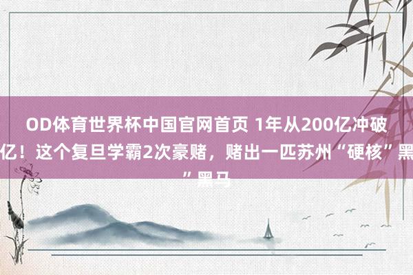 OD体育世界杯中国官网首页 1年从200亿冲破千亿！这个复旦学霸2次豪赌，赌出一匹苏州“硬核”黑马