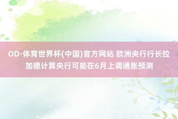 OD·体育世界杯(中国)官方网站 欧洲央行行长拉加德计算央行可能在6月上调通胀预测