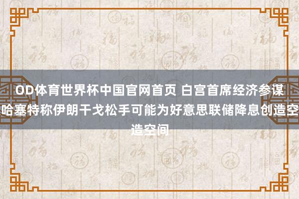 OD体育世界杯中国官网首页 白宫首席经济参谋人哈塞特称伊朗干戈松手可能为好意思联储降息创造空间