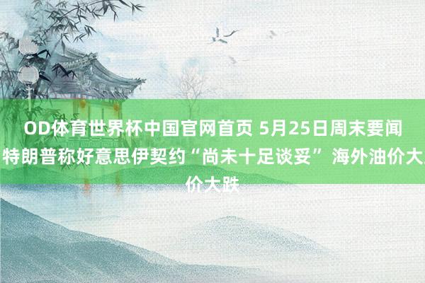 OD体育世界杯中国官网首页 5月25日周末要闻：特朗普称好意思伊契约“尚未十足谈妥” 海外油价大跌