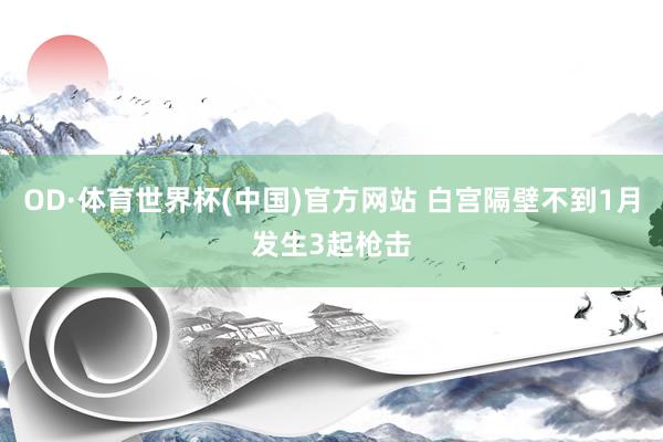 OD·体育世界杯(中国)官方网站 白宫隔壁不到1月发生3起枪击