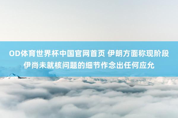 OD体育世界杯中国官网首页 伊朗方面称现阶段伊尚未就核问题的细节作念出任何应允