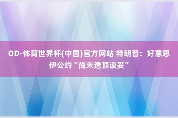 OD·体育世界杯(中国)官方网站 特朗普：好意思伊公约“尚未透顶谈妥”