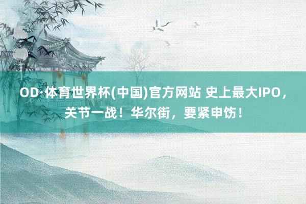 OD·体育世界杯(中国)官方网站 史上最大IPO，关节一战！华尔街，要紧申饬！