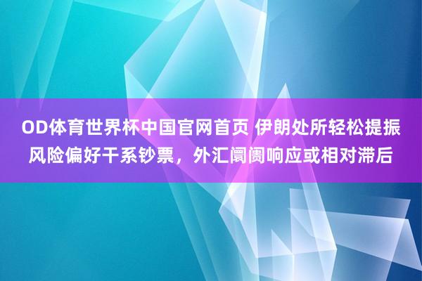 OD体育世界杯中国官网首页 伊朗处所轻松提振风险偏好干系钞票，外汇阛阓响应或相对滞后