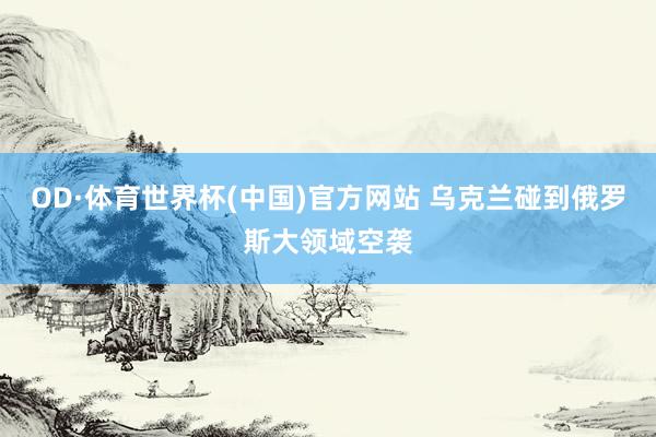 OD·体育世界杯(中国)官方网站 乌克兰碰到俄罗斯大领域空袭