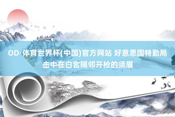 OD·体育世界杯(中国)官方网站 好意思国特勤局击中在白宫隔邻开枪的须眉