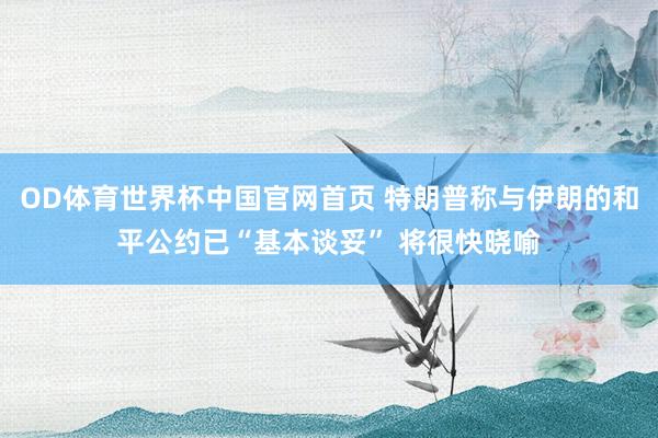 OD体育世界杯中国官网首页 特朗普称与伊朗的和平公约已“基本谈妥” 将很快晓喻
