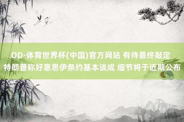 OD·体育世界杯(中国)官方网站 有待最终敲定 特朗普称好意思伊条约基本谈成 细节将于近期公布