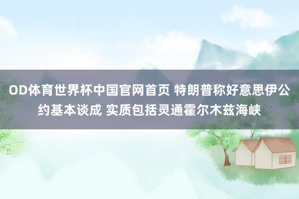 OD体育世界杯中国官网首页 特朗普称好意思伊公约基本谈成 实质包括灵通霍尔木兹海峡