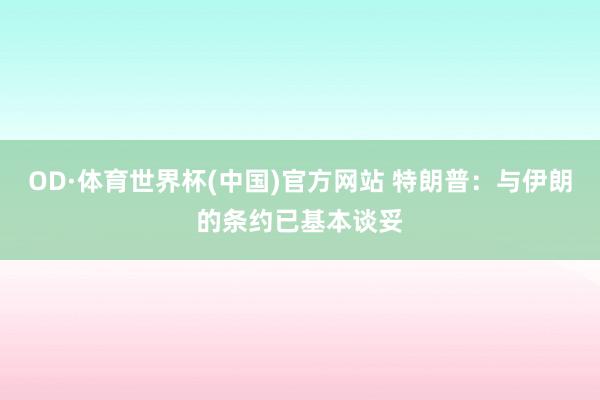 OD·体育世界杯(中国)官方网站 特朗普：与伊朗的条约已基本谈妥