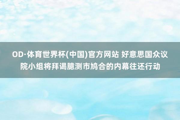 OD·体育世界杯(中国)官方网站 好意思国众议院小组将拜谒臆测市鸠合的内幕往还行动