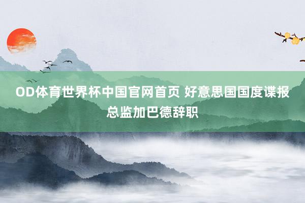 OD体育世界杯中国官网首页 好意思国国度谍报总监加巴德辞职