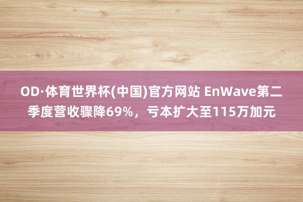 OD·体育世界杯(中国)官方网站 EnWave第二季度营收骤降69%，亏本扩大至115万加元