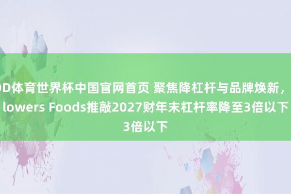 OD体育世界杯中国官网首页 聚焦降杠杆与品牌焕新，Flowers Foods推敲2027财年末杠杆率降至3倍以下