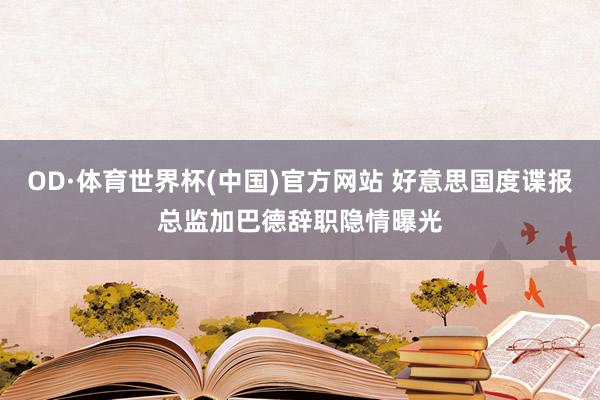 OD·体育世界杯(中国)官方网站 好意思国度谍报总监加巴德辞职隐情曝光