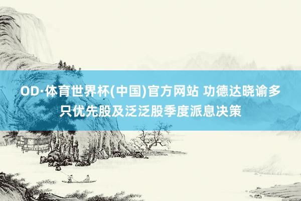OD·体育世界杯(中国)官方网站 功德达晓谕多只优先股及泛泛股季度派息决策
