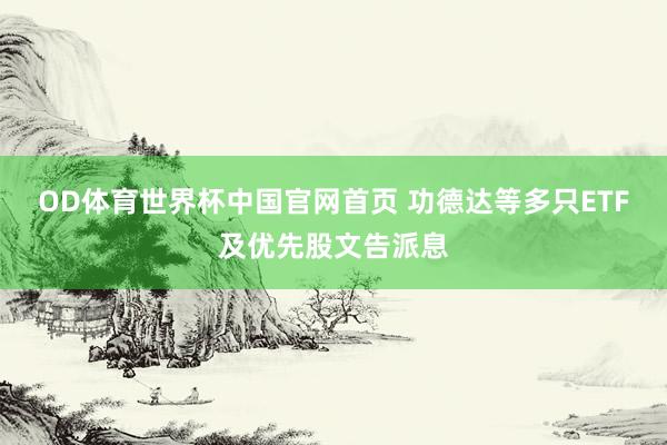 OD体育世界杯中国官网首页 功德达等多只ETF及优先股文告派息
