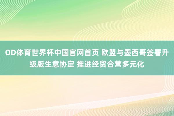 OD体育世界杯中国官网首页 欧盟与墨西哥签署升级版生意协定 推进经贸合营多元化
