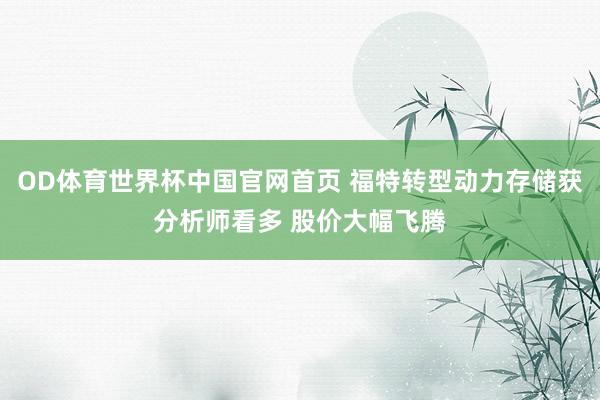 OD体育世界杯中国官网首页 福特转型动力存储获分析师看多 股价大幅飞腾