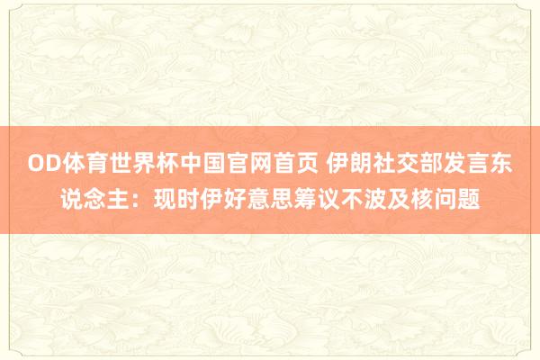 OD体育世界杯中国官网首页 伊朗社交部发言东说念主：现时伊好意思筹议不波及核问题