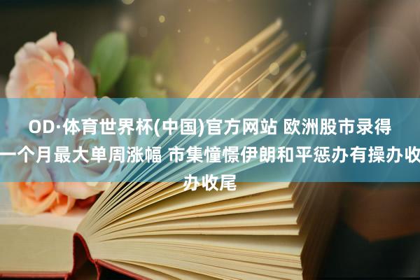 OD·体育世界杯(中国)官方网站 欧洲股市录得逾一个月最大单周涨幅 市集憧憬伊朗和平惩办有操办收尾
