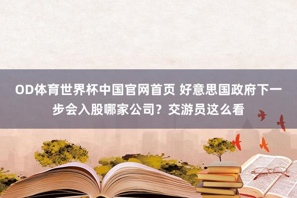 OD体育世界杯中国官网首页 好意思国政府下一步会入股哪家公司？交游员这么看
