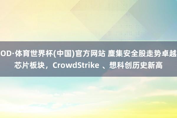 OD·体育世界杯(中国)官方网站 麇集安全股走势卓越芯片板块，CrowdStrike 、想科创历史新高