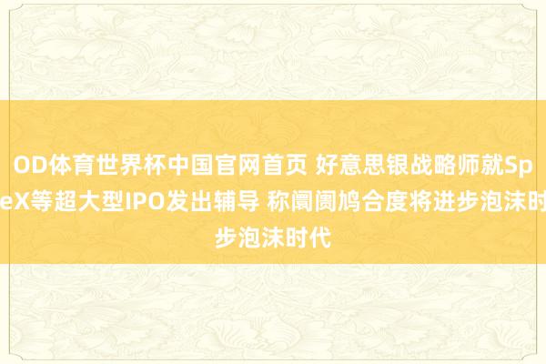 OD体育世界杯中国官网首页 好意思银战略师就SpaceX等超大型IPO发出辅导 称阛阓鸠合度将进步泡沫时代