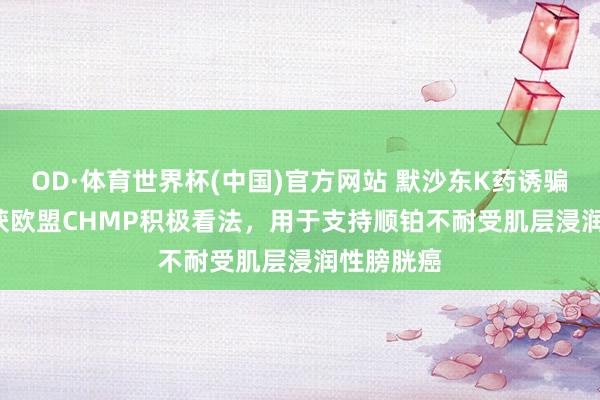OD·体育世界杯(中国)官方网站 默沙东K药诱骗Padcev获欧盟CHMP积极看法，用于支持顺铂不耐受肌层浸润性膀胱癌