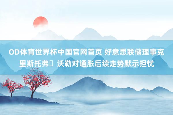 OD体育世界杯中国官网首页 好意思联储理事克里斯托弗・沃勒对通胀后续走势默示担忧
