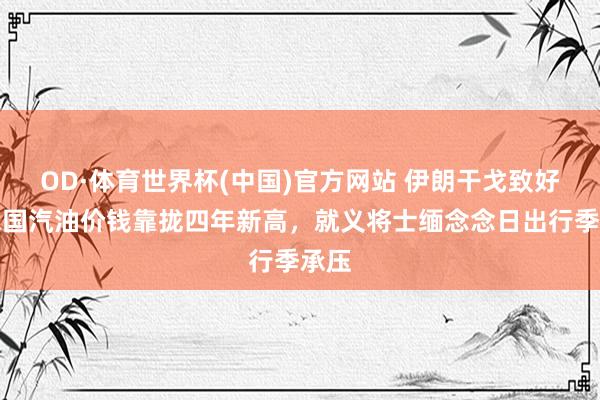 OD·体育世界杯(中国)官方网站 伊朗干戈致好意思国汽油价钱靠拢四年新高，就义将士缅念念日出行季承压