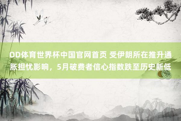 OD体育世界杯中国官网首页 受伊朗所在推升通胀担忧影响，5月破费者信心指数跌至历史新低