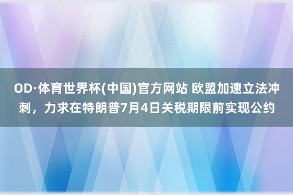OD·体育世界杯(中国)官方网站 欧盟加速立法冲刺，力求在特朗普7月4日关税期限前实现公约