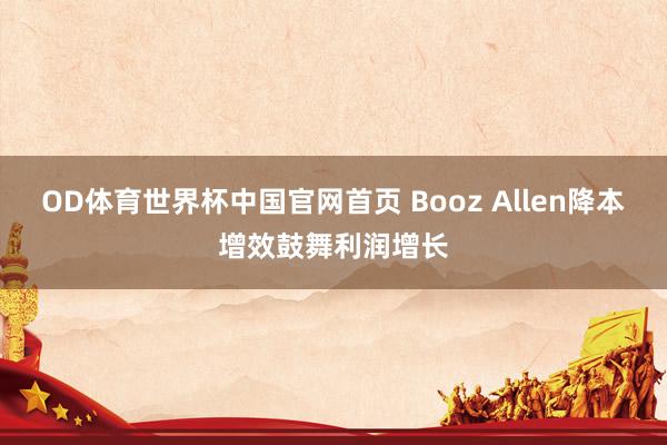 OD体育世界杯中国官网首页 Booz Allen降本增效鼓舞利润增长