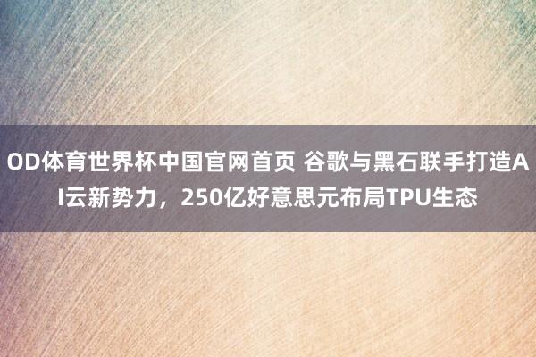 OD体育世界杯中国官网首页 谷歌与黑石联手打造AI云新势力，250亿好意思元布局TPU生态