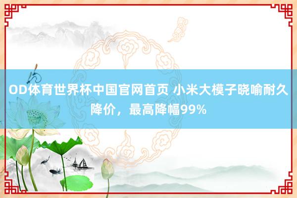 OD体育世界杯中国官网首页 小米大模子晓喻耐久降价，最高降幅99%