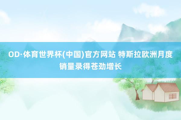 OD·体育世界杯(中国)官方网站 特斯拉欧洲月度销量录得苍劲增长
