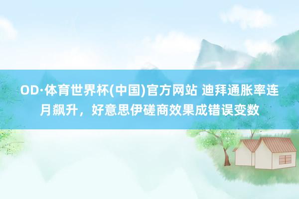OD·体育世界杯(中国)官方网站 迪拜通胀率连月飙升，好意思伊磋商效果成错误变数