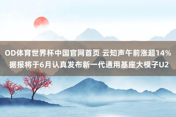 OD体育世界杯中国官网首页 云知声午前涨超14% 据报将于6月认真发布新一代通用基座大模子U2