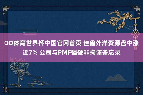 OD体育世界杯中国官网首页 佳鑫外洋资源盘中涨近7% 公司与PMF强硬非拘谨备忘录