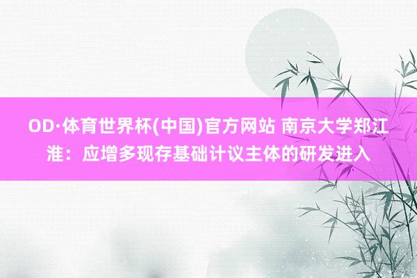 OD·体育世界杯(中国)官方网站 南京大学郑江淮：应增多现存基础计议主体的研发进入