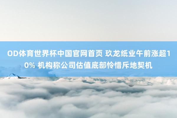 OD体育世界杯中国官网首页 玖龙纸业午前涨超10% 机构称公司估值底部怜惜斥地契机