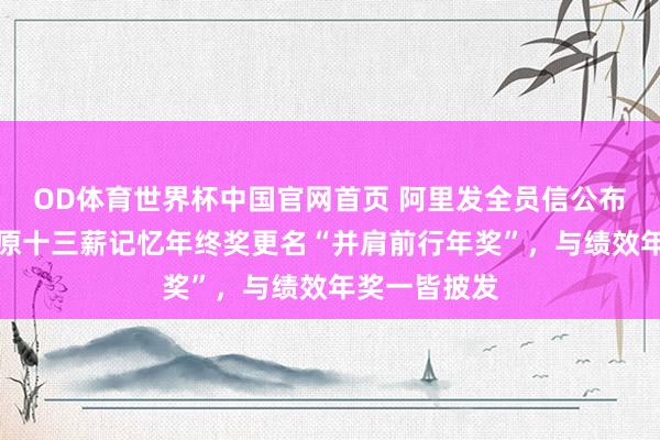 OD体育世界杯中国官网首页 阿里发全员信公布薪酬变革：原十三薪记忆年终奖更名“并肩前行年奖”，与绩效年奖一皆披发