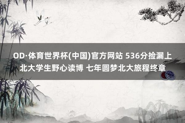 OD·体育世界杯(中国)官方网站 536分捡漏上北大学生野心读博 七年圆梦北大旅程终章