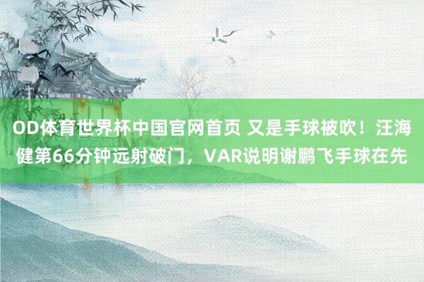 OD体育世界杯中国官网首页 又是手球被吹！汪海健第66分钟远射破门，VAR说明谢鹏飞手球在先