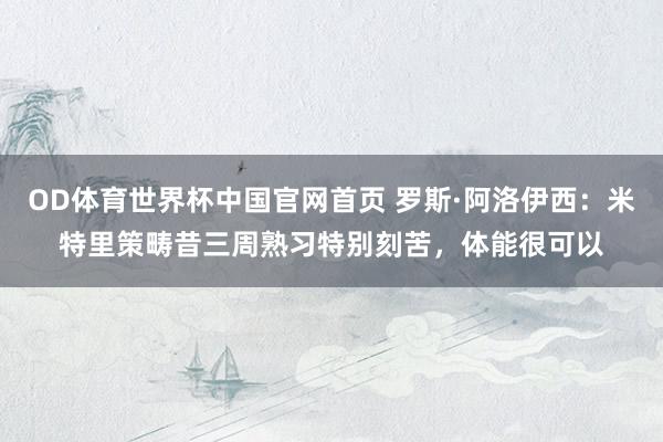OD体育世界杯中国官网首页 罗斯·阿洛伊西：米特里策畴昔三周熟习特别刻苦，体能很可以