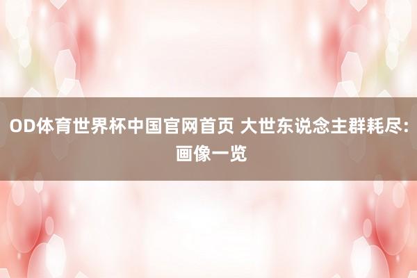 OD体育世界杯中国官网首页 大世东说念主群耗尽: 画像一览
