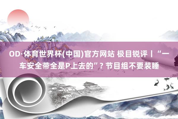 OD·体育世界杯(中国)官方网站 极目锐评丨“一车安全带全是P上去的”? 节目组不要装睡